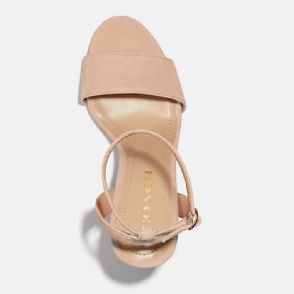 Coach | Suede Regina Sandal - Beachwood - Picture 5 of 12